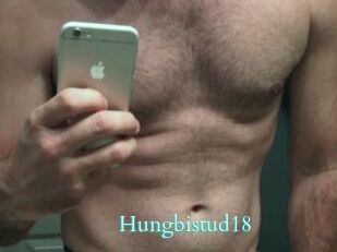Hungbistud18