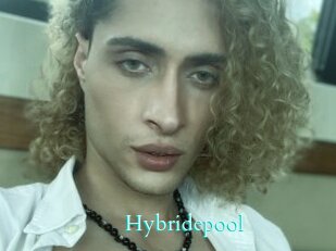 Hybridepool