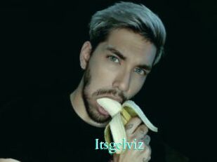 Itsgelviz