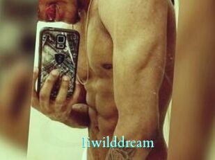 Iiwilddream