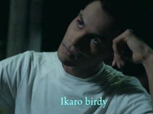 Ikaro_birdy