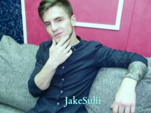 JakeSulii