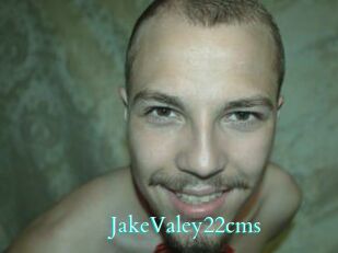 JakeValey22cms