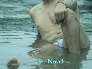 Joe_Novel