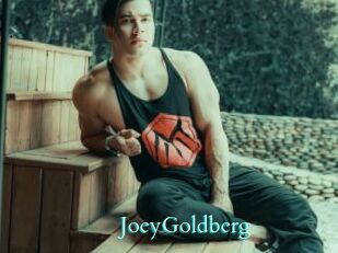 JoeyGoldberg