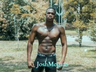 JoshMegans