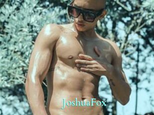 JoshuaFox