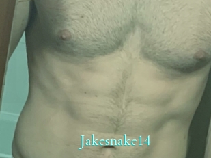 Jakesnake14