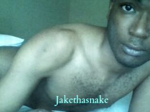 Jake_tha_snake