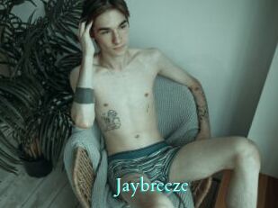 Jaybreeze