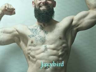 Jayybird