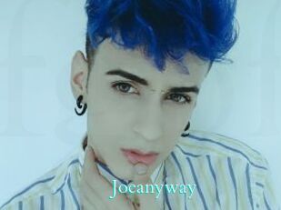 Joeanyway