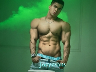 Joeyevans