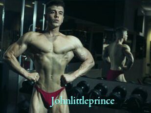 Johnlittleprince
