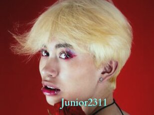 Junior2311