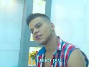 junior_por Free Gay Porn Finder