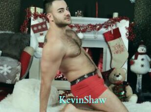 KevinShaw