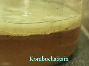 KombuchaStain