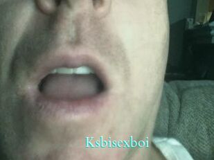 Ksbisexboi