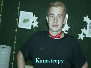 Kanesteepy