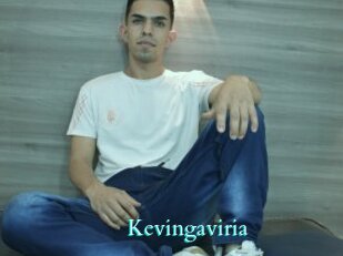 Kevingaviria