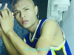 King_david_hot