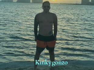 Kinkygonzo