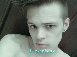 LapkinGray