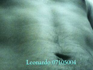 Leonardo-07105004