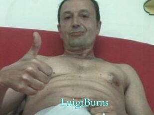 LuigiBurns