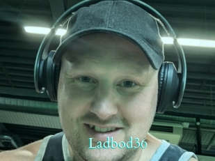 Ladbod36