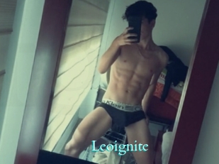 Leoignite
