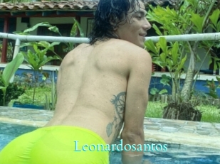 Leonardosantos