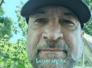 Leoncarpita