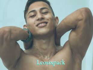Leosixpack