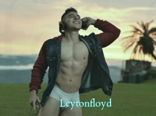 Leytonfloyd