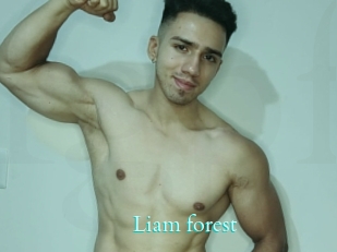 Liam_forest