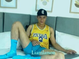 liamlarson Free Gay Porn Finder