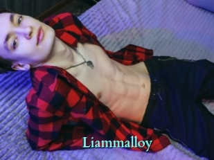 liammalloy Free Gay Porn Finder