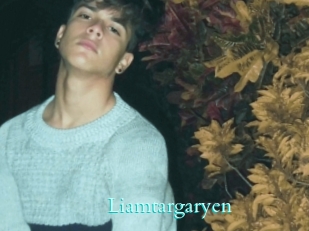 Liamtargaryen