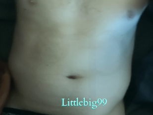 Littlebig99