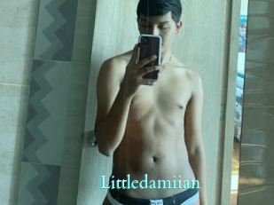 Littledamiian