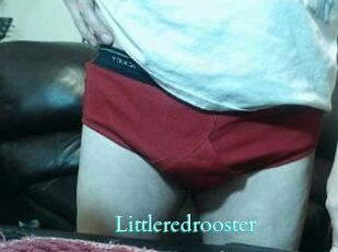 Littleredrooster