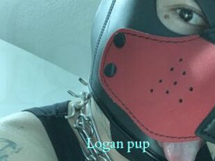 Logan_pup