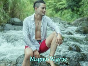 MagnusWayne