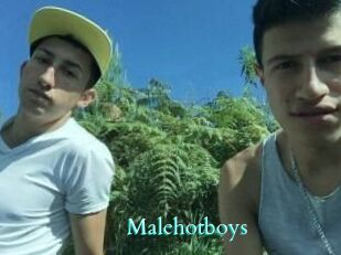 Malehotboys