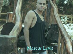 Marcus_Levit