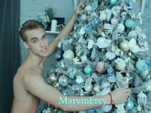 MarvinFrey
