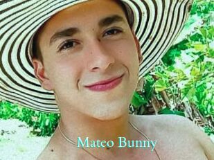 Mateo_Bunny