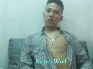 Mateo_Wolf